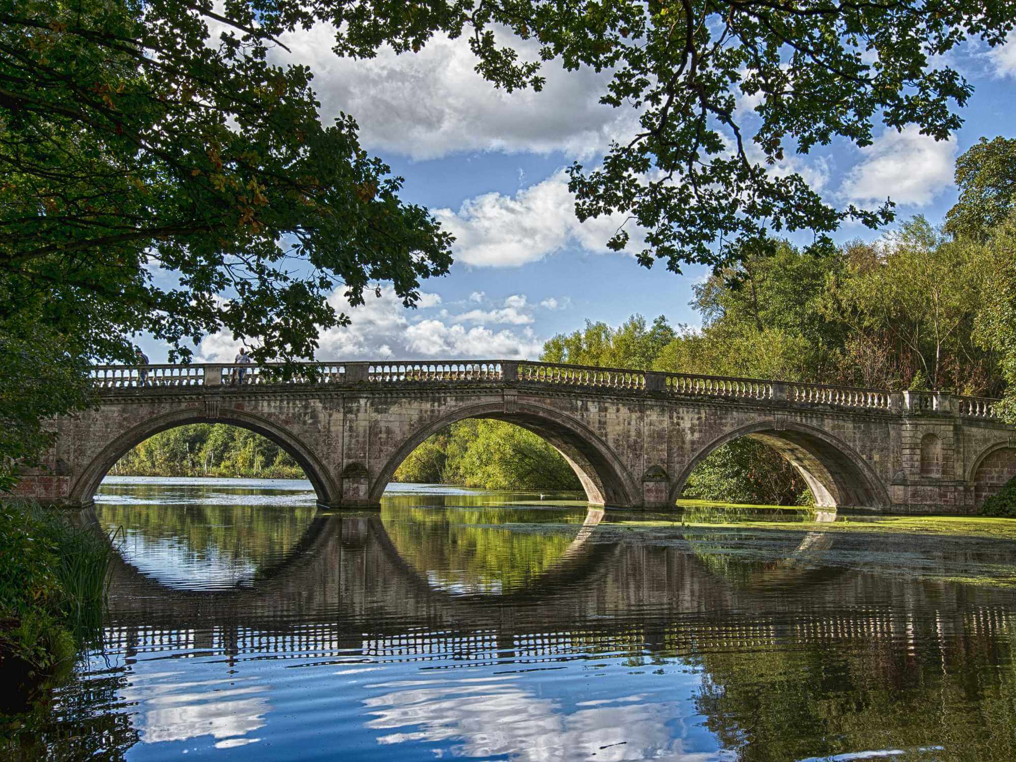 a bridge